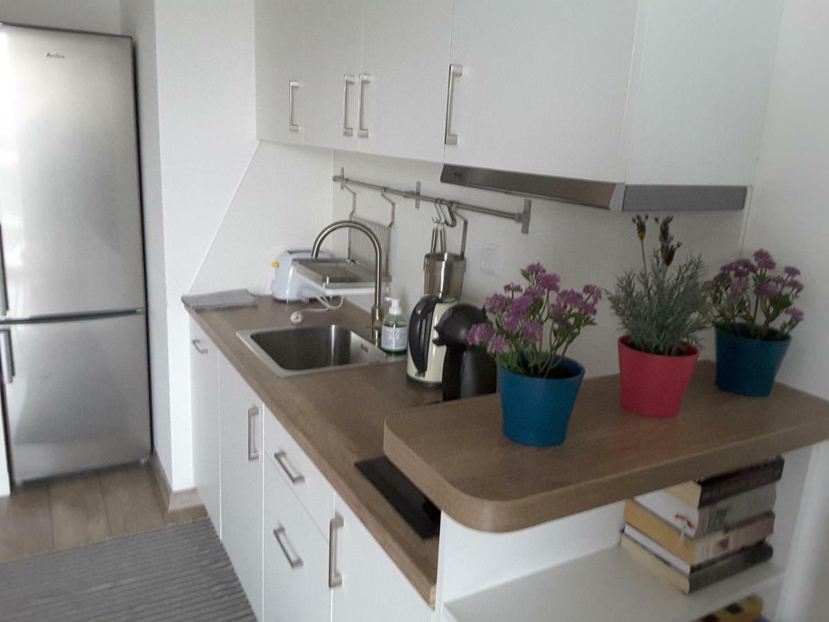 White Swan Apartment Krakow Ngoại thất bức ảnh